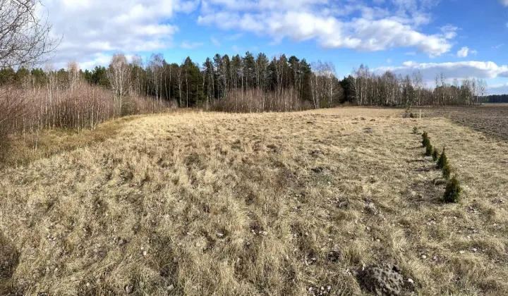 Działka rolno-budowlana Lińsk