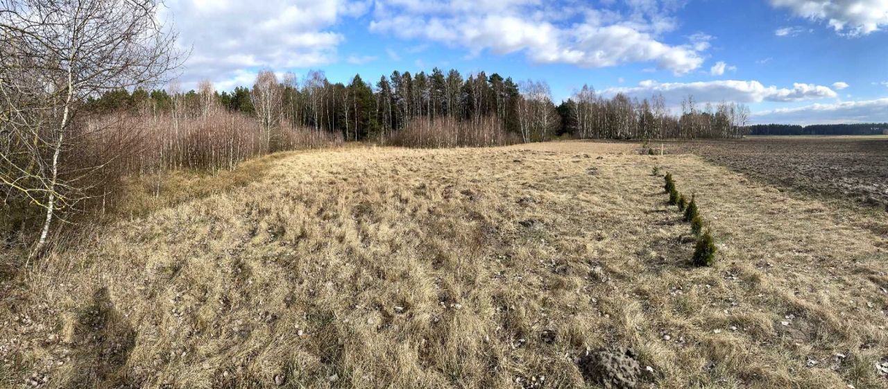 Działka rolno-budowlana Lińsk