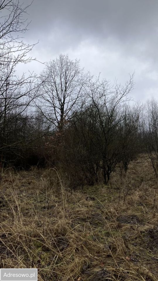 Działka inwestycyjna Dąbrowa Górnicza. Zdjęcie 5