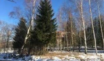 Działka inna Jelenia Góra Jagniątków, ul. Narciarska