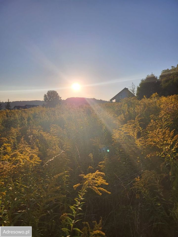 Działka budowlana Dziwiszów, ul. Słoneczna. Zdjęcie 7