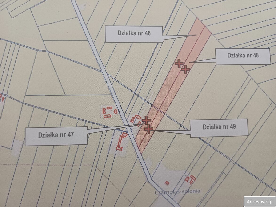 Działka rolno-budowlana Czarnolas Czarnolas-Kolonia. Zdjęcie 2