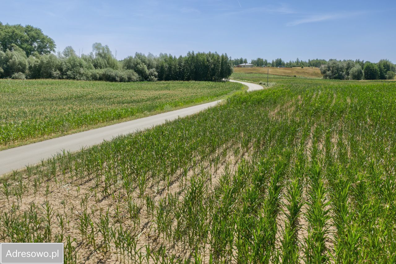 Działka rekreacyjna Borzymowice. Zdjęcie 6