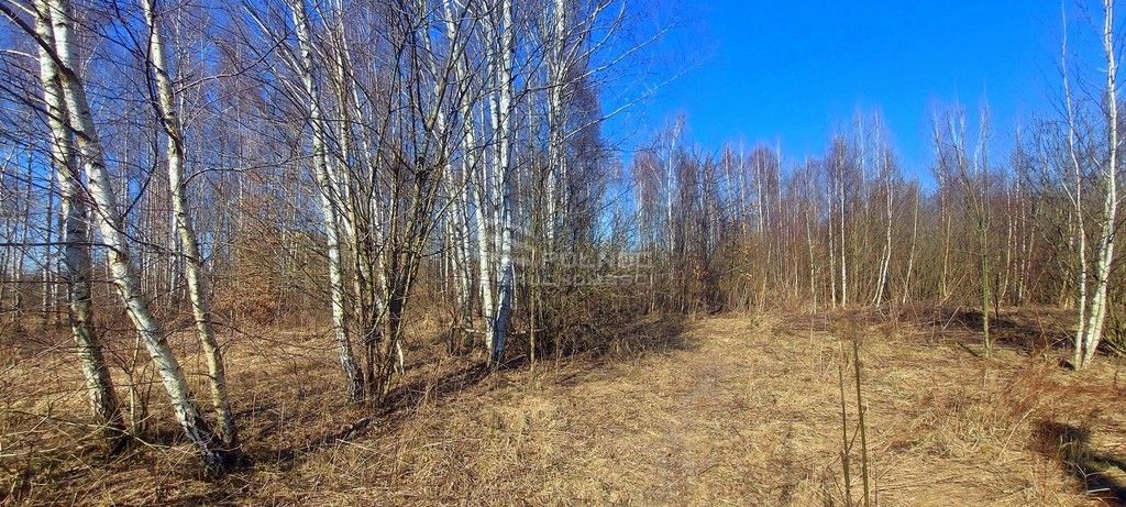 Działka budowlana Różnowo. Zdjęcie 5