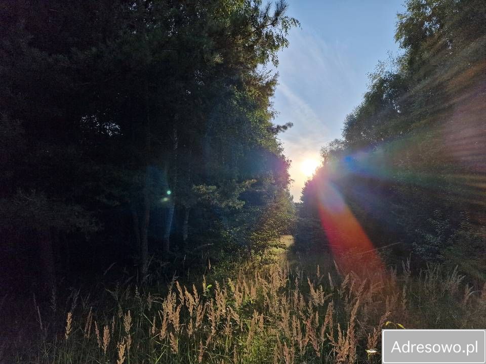 Działka rekreacyjna Orchówek, ul. Wesoła. Zdjęcie 6