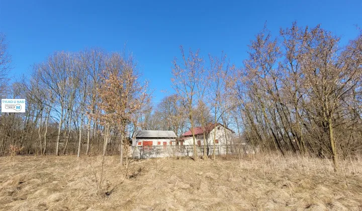 siedlisko, 2 pokoje Trzciniec