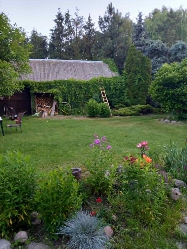 siedlisko, 5 pokoi Łąkie, ul. Podstawowa. Zdjęcie 11