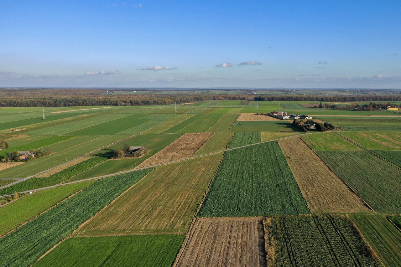 Działka budowlana Wierzchowiska Wierzchowiska Pierwsze. Zdjęcie 4