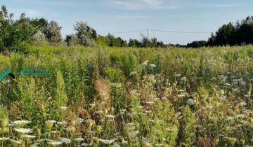 Działka rolno-budowlana Borzęcin Duży