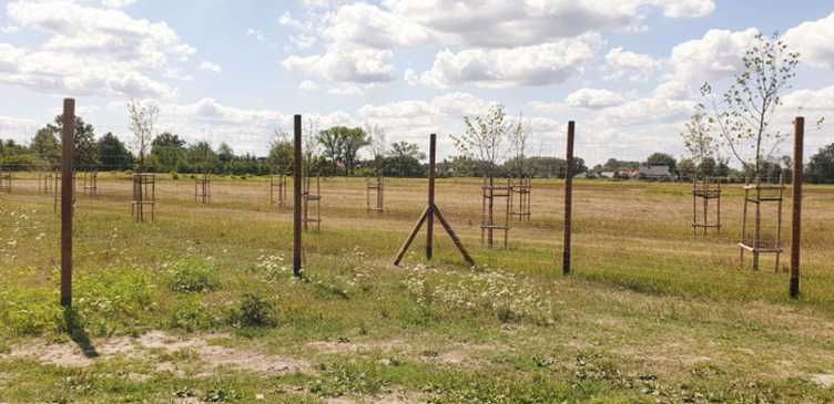 Działka inwestycyjna Góra Kalwaria, ul. Długa. Zdjęcie 5