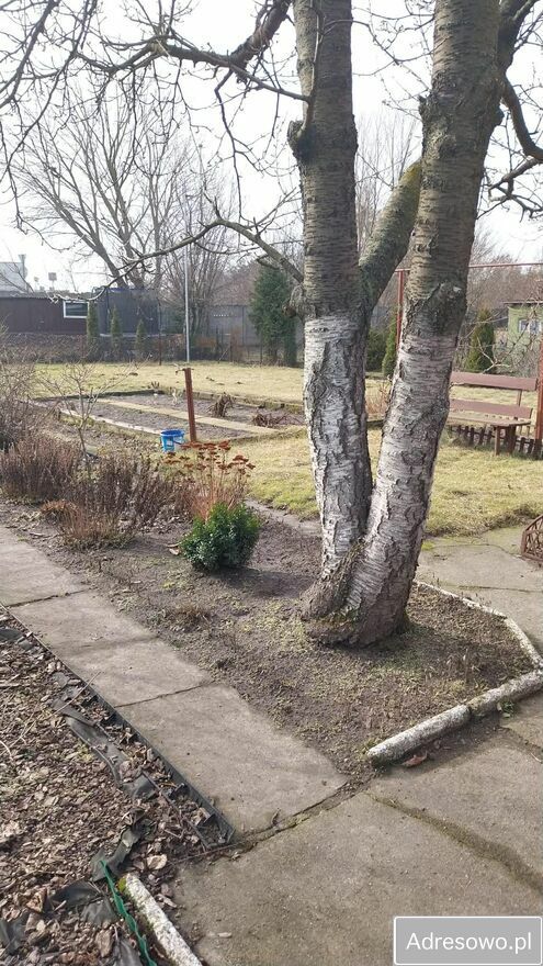 Działka rod Gniezno, ul. Wrzesińska. Zdjęcie 4