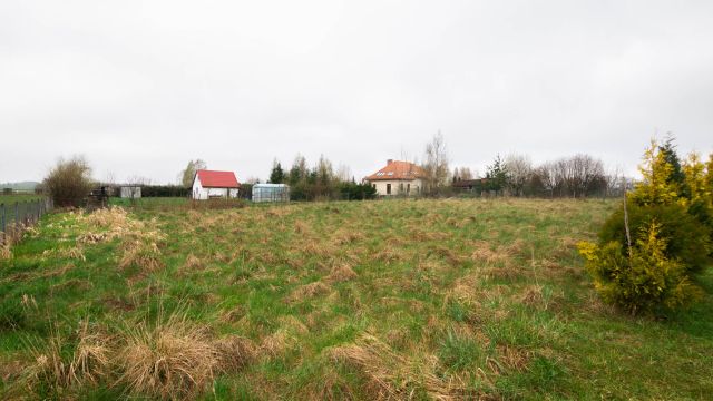 Działka Winiec. Zdjęcie 4