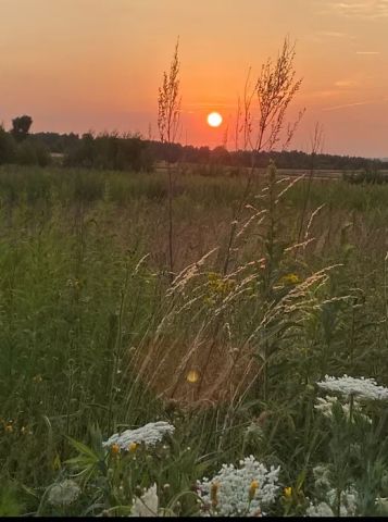 Działka rolno-budowlana Mysłów, ul. Rędzińska. Zdjęcie 1