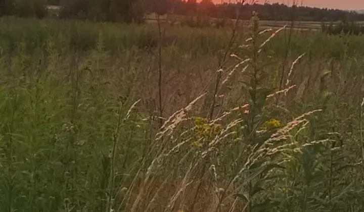 Działka rolno-budowlana Mysłów, ul. Rędzińska