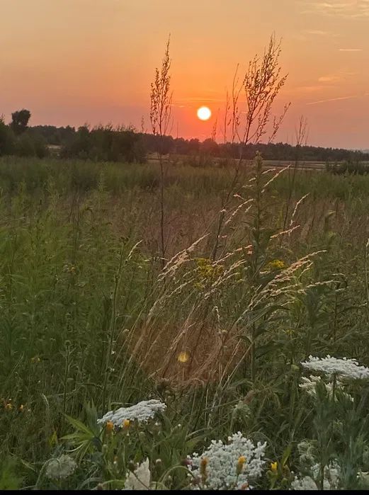 Działka rolno-budowlana Mysłów, ul. Rędzińska. Zdjęcie 1