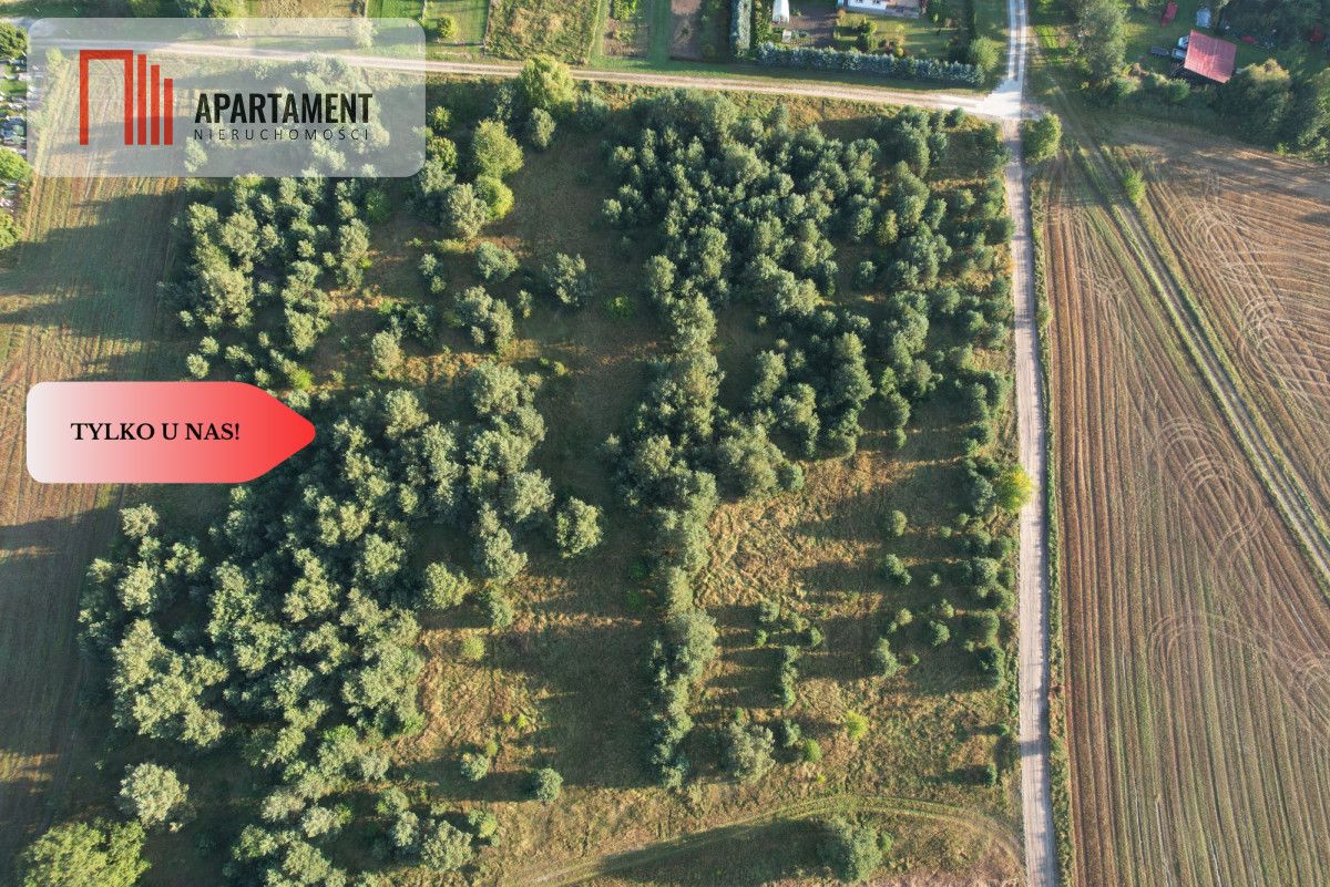 Działka budowlana Brzezie. Zdjęcie 14