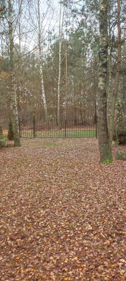 Działka rolna Osada-Wola. Zdjęcie 6