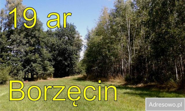 Działka rolna Borzęcin. Zdjęcie 1