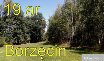 Działka rolna Borzęcin