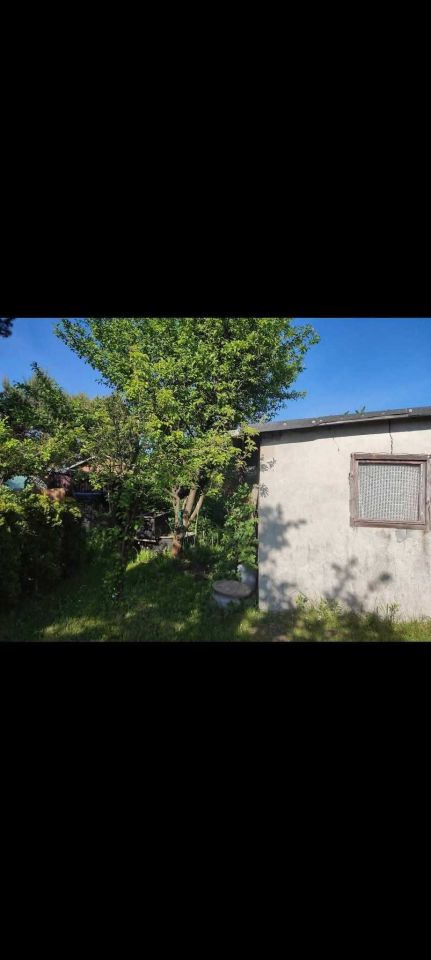 Działka rod Konstancin-Jeziorna. Zdjęcie 4