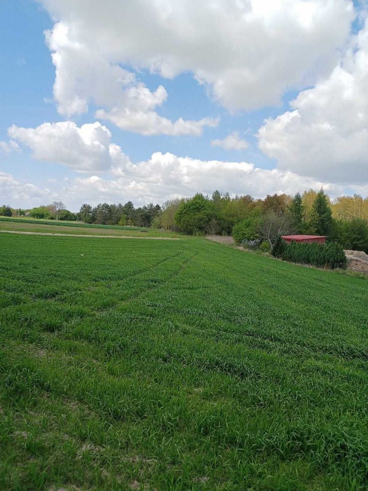 Działka budowlana Bałtów