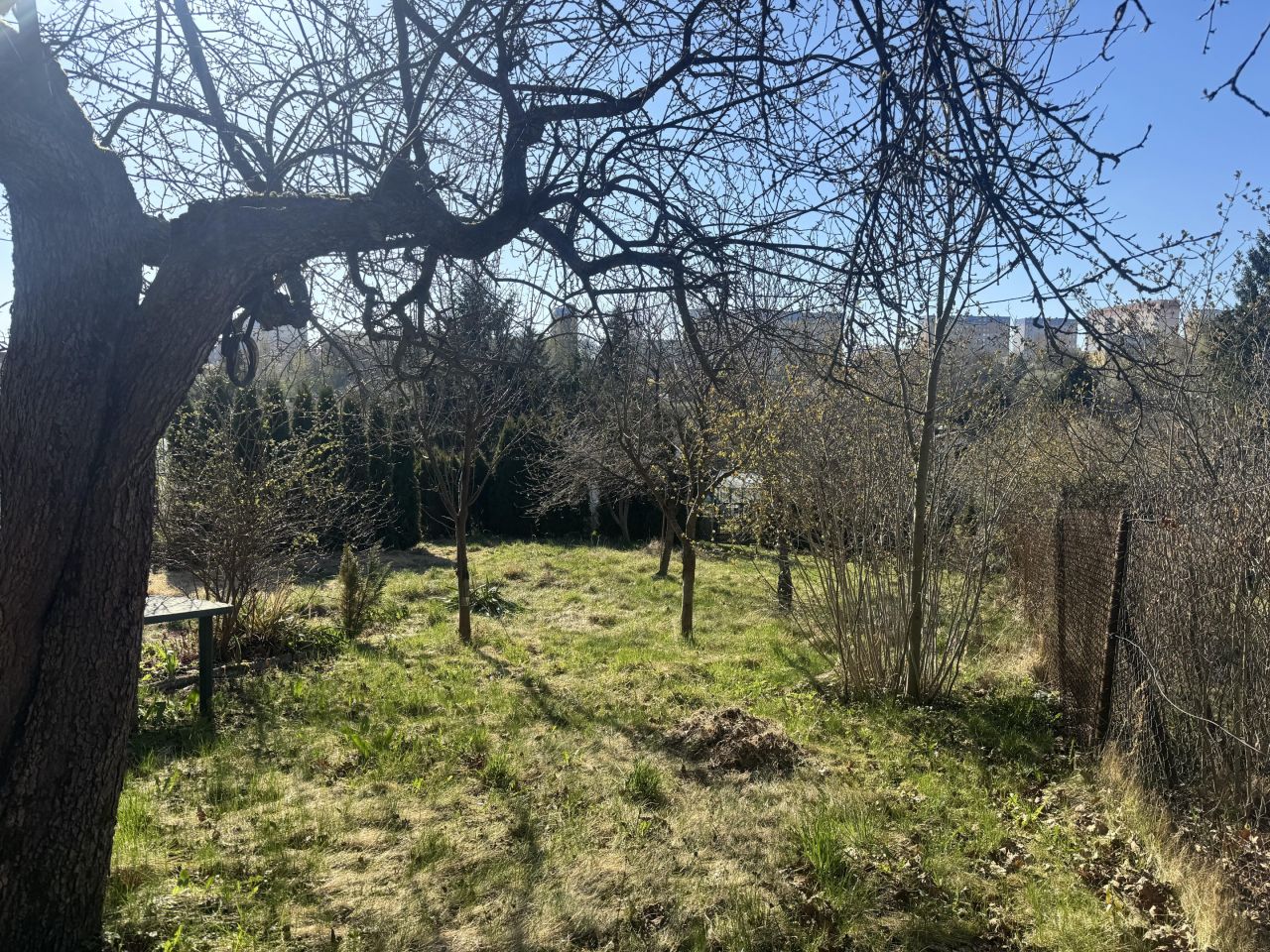 Działka rod Olsztyn. Zdjęcie 11