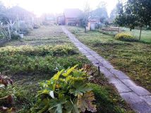 Działka rod Morąg. Zdjęcie 1