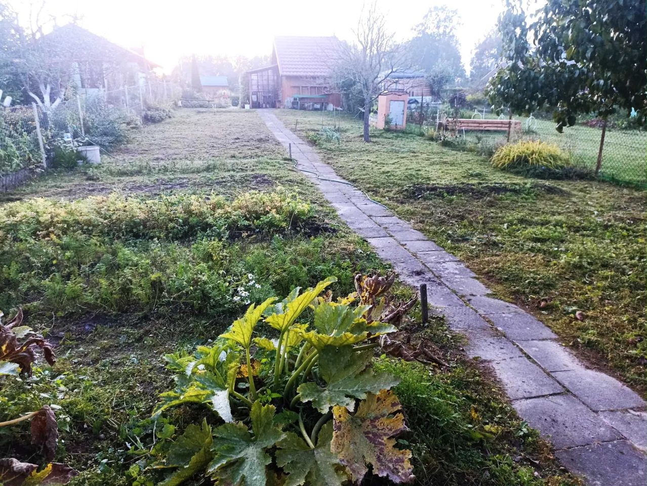 Działka rod Morąg. Zdjęcie 2