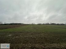 Działka rolno-budowlana Kostera. Zdjęcie 4