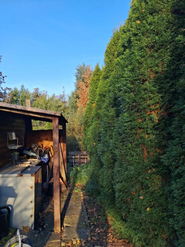 Działka rod Szczecin Wielgowo, ul. Tatarakowa. Zdjęcie 4