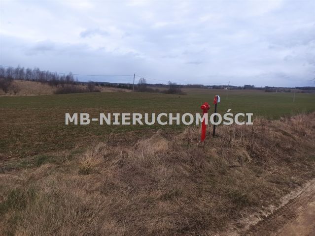 Działka budowlana Królikowo. Zdjęcie 2