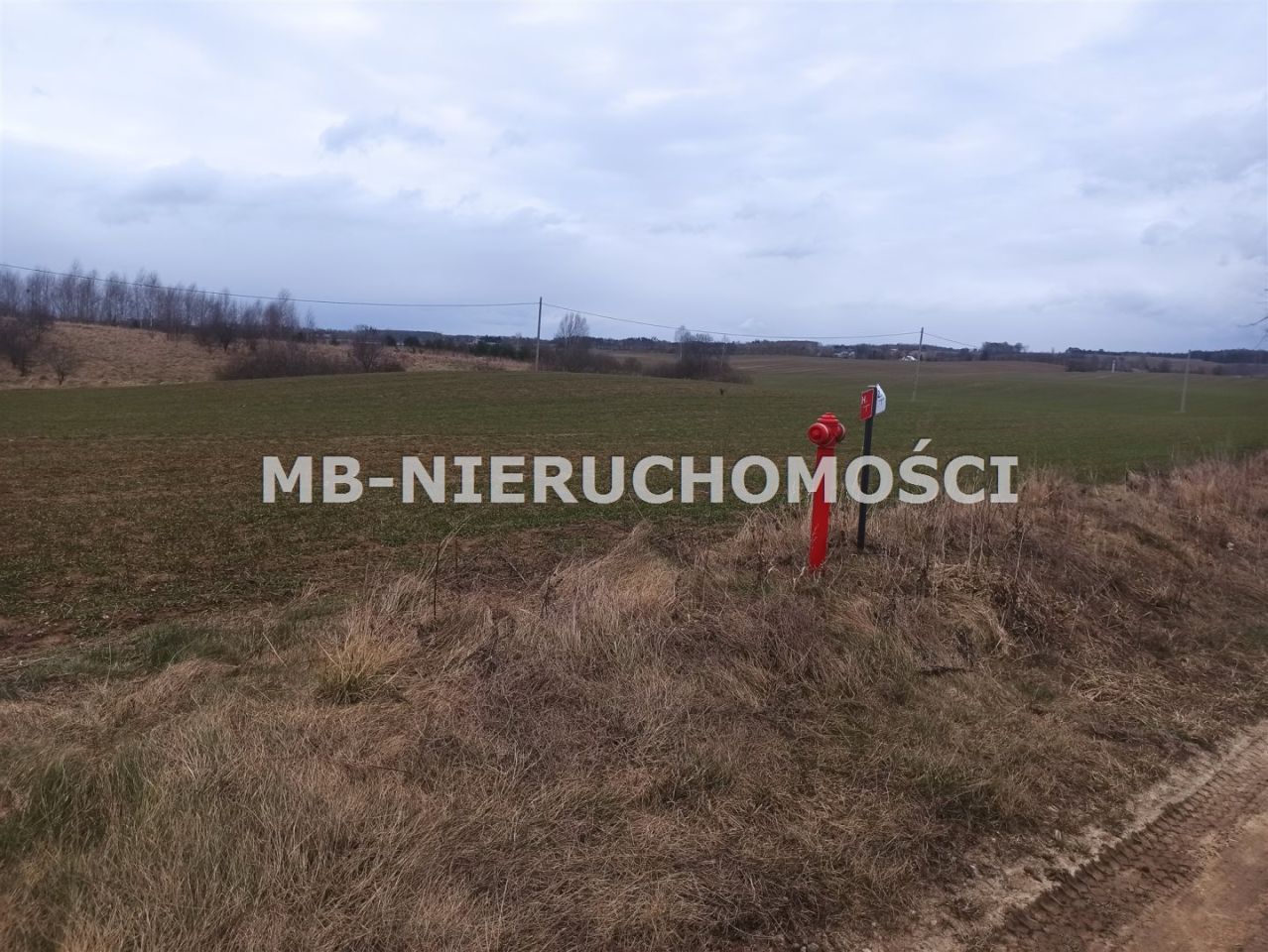 Działka budowlana Królikowo. Zdjęcie 2