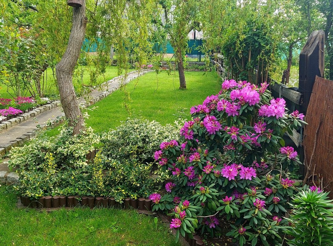 Działka rod Szczecin Gumieńce, ul. Ku Słońcu. Zdjęcie 4