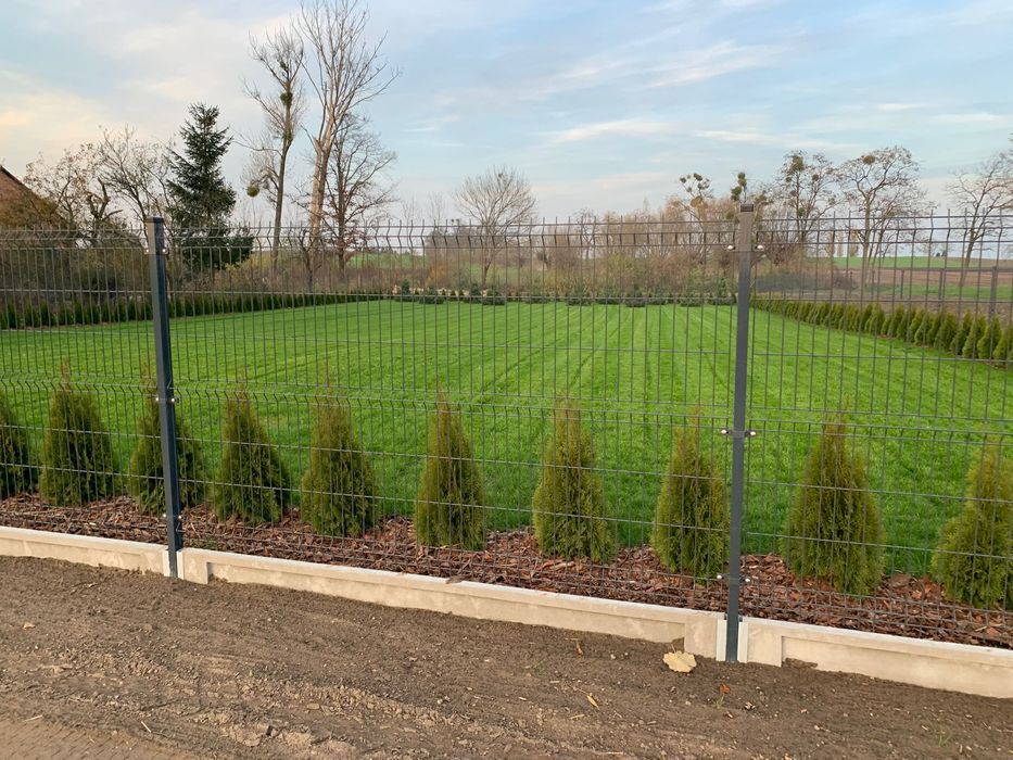 Działka budowlana Winna. Zdjęcie 3