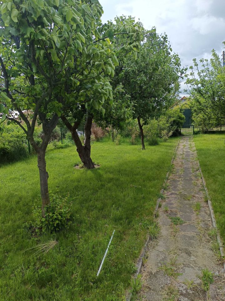 Działka rod Nowa Sól. Zdjęcie 2