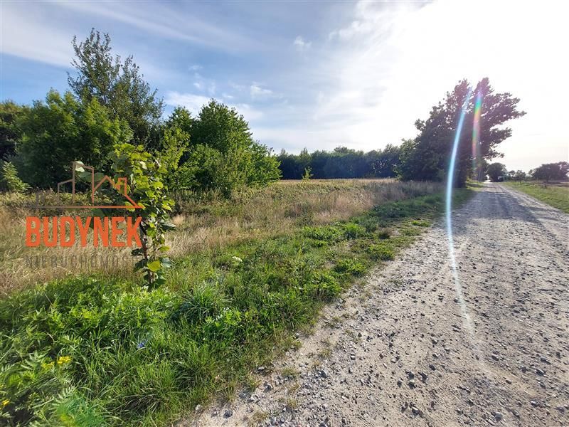 Działka rolna Kopnica. Zdjęcie 4