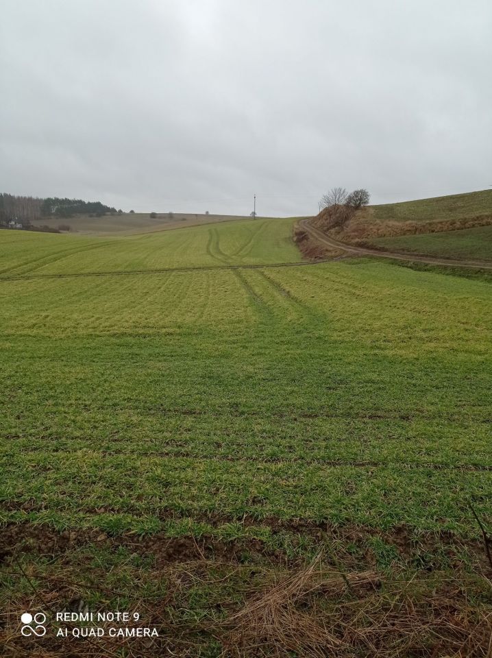 Działka rolno-budowlana Grabowo. Zdjęcie 8