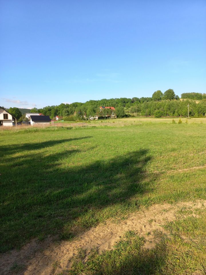 Działka budowlana Gogołów. Zdjęcie 9