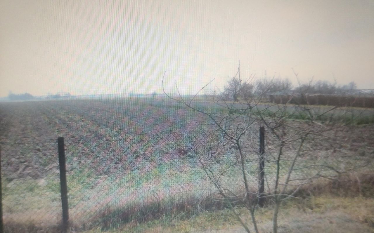 Działka rolno-budowlana Damiany. Zdjęcie 3