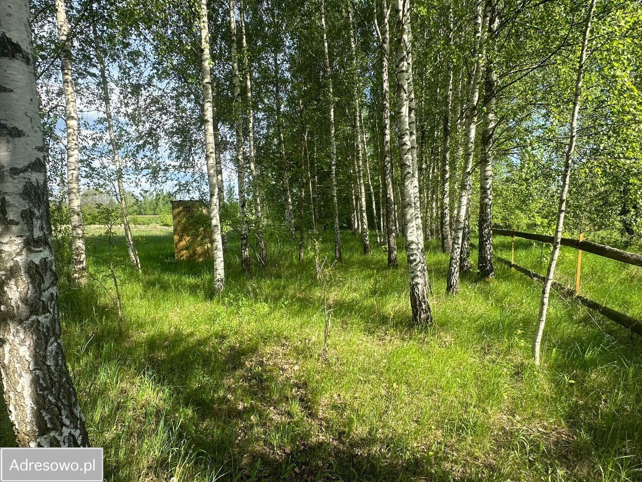 Działka rolna Dubiny. Zdjęcie 7