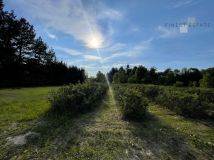 Działka budowlana Podkampinos, ul. Jagodowa. Zdjęcie 4