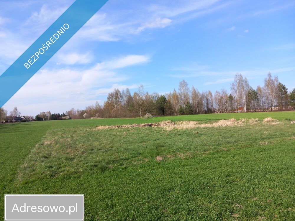 Działka rolno-budowlana Łódź Górna. Zdjęcie 2