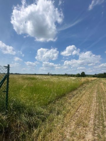Działka budowlana Rokiciny-Kolonia, ul. Łódzka. Zdjęcie 1