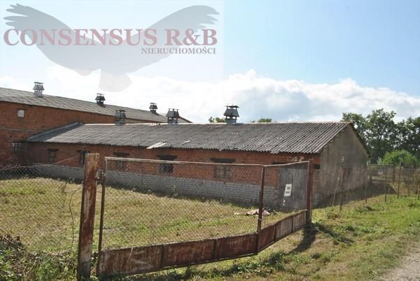 Hala/magazyn Prudnik. Zdjęcie 3