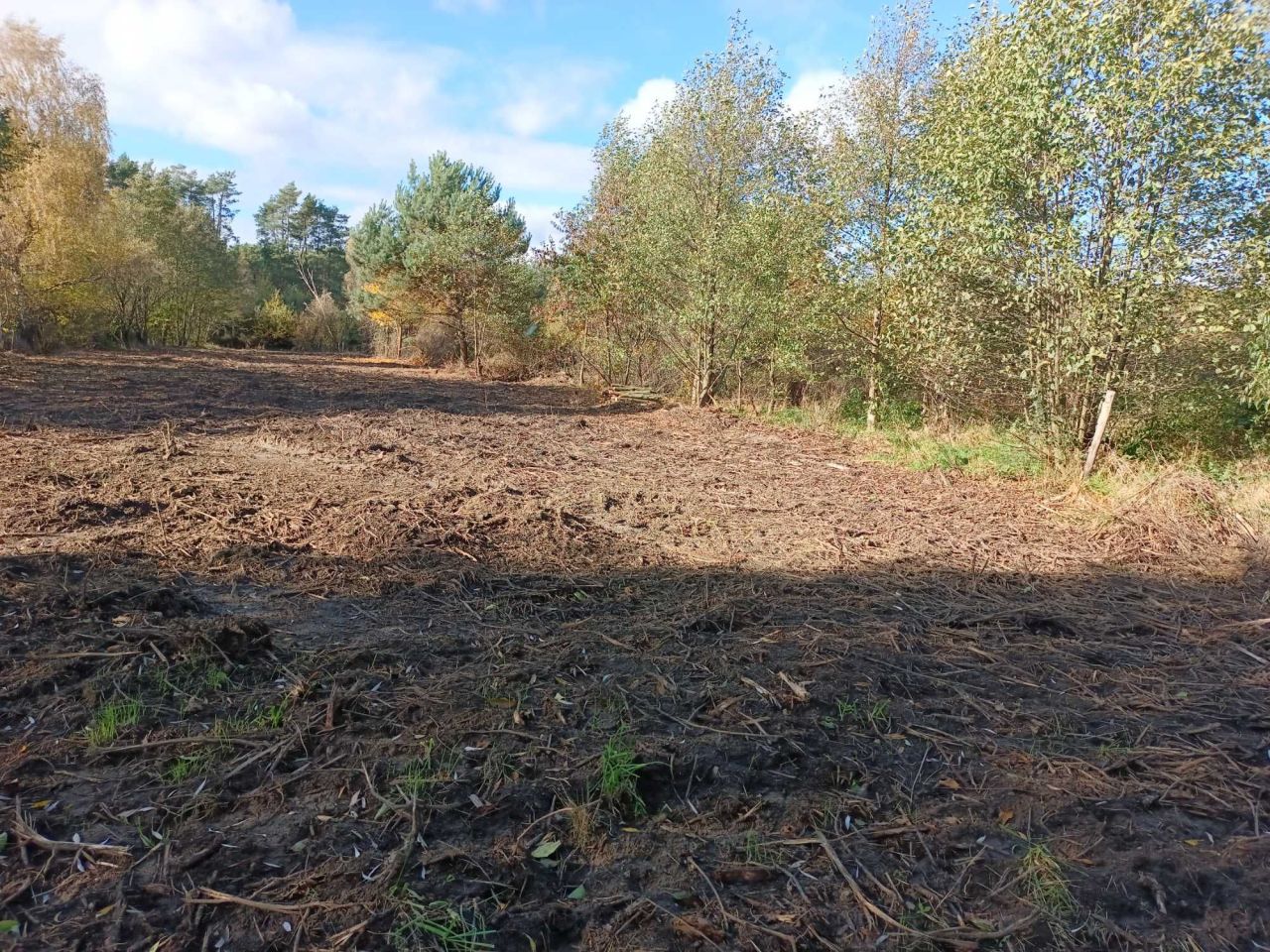 Działka rekreacyjna Łagów. Zdjęcie 6