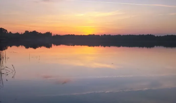 dom wolnostojący, 3 pokoje Rogóźno