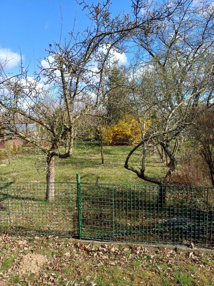Działka rod Legnica Piekary Wielkie, ul. Koskowicka. Zdjęcie 4