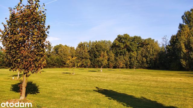 Działka budowlana Konin Nowy Dwór, ul. Kameliowa. Zdjęcie 1
