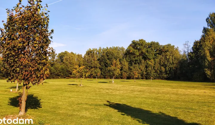 Działka budowlana Konin Nowy Dwór, ul. Kameliowa