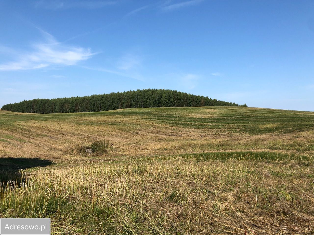 Działka rolna Lekity. Zdjęcie 4